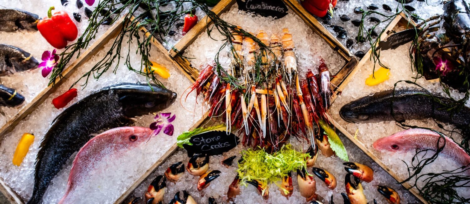 ouzo bay fish display