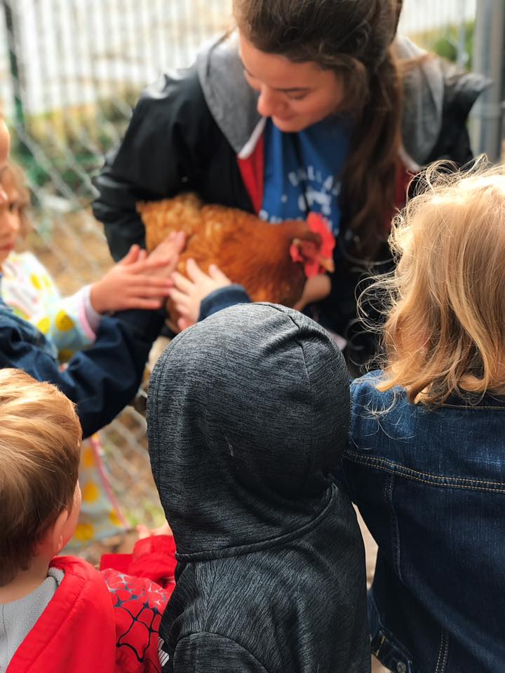 Meet the chickens at Dallas Farmers Market this Saturday.