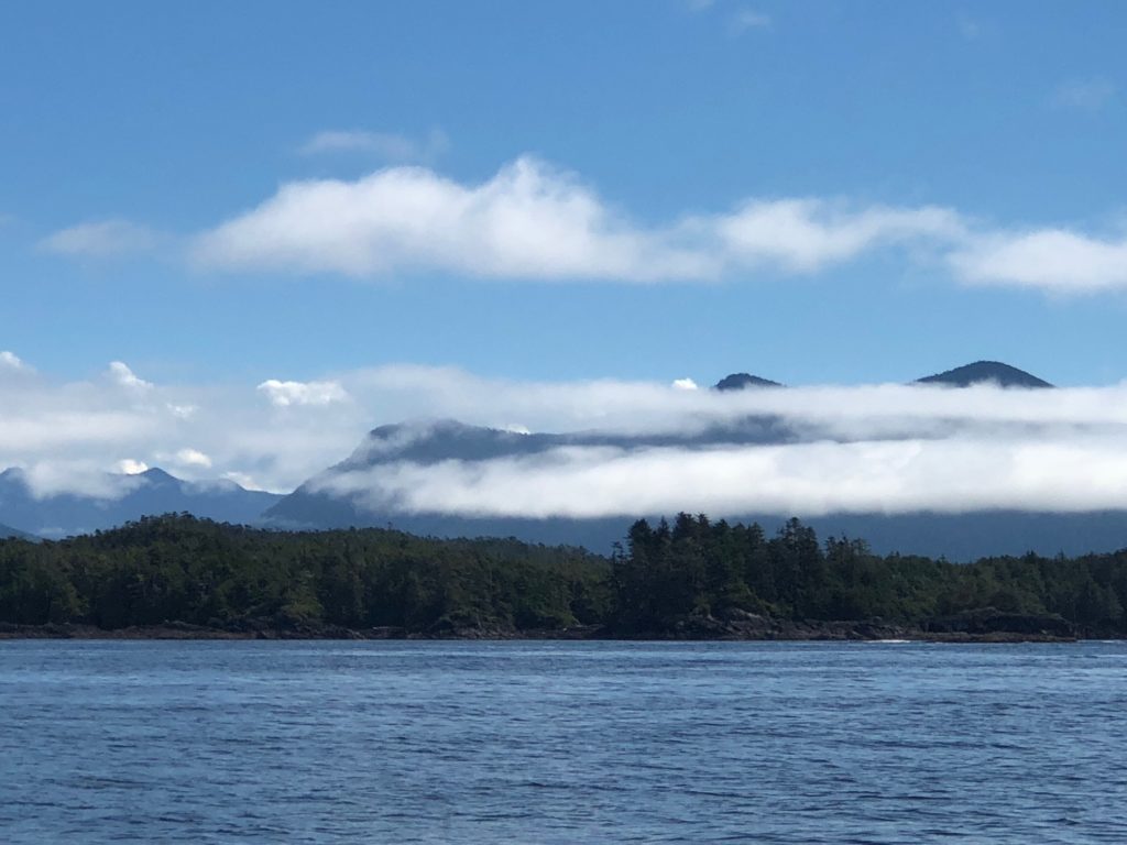 Clouds hug the islands of old-growth cedar forests that surround Tofino. (Photo by Shelby Hodge)