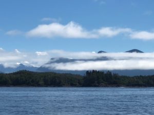 Clouds hug the islands of old-growth cedar forests. (Photo by Shelby Hodge)
