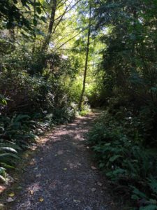 Hiking trails of varying length and difficulty abound in this part of British Columbia. (Photo by Shelby Hodge)