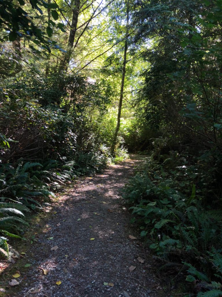 Hiking trails of varying length and difficulty abound in this part of British Columbia. (Photo by Shelby Hodge)
