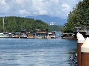 Seaplanes come and go throughout the day in Tofino. (Photo by Shelby Hodge)