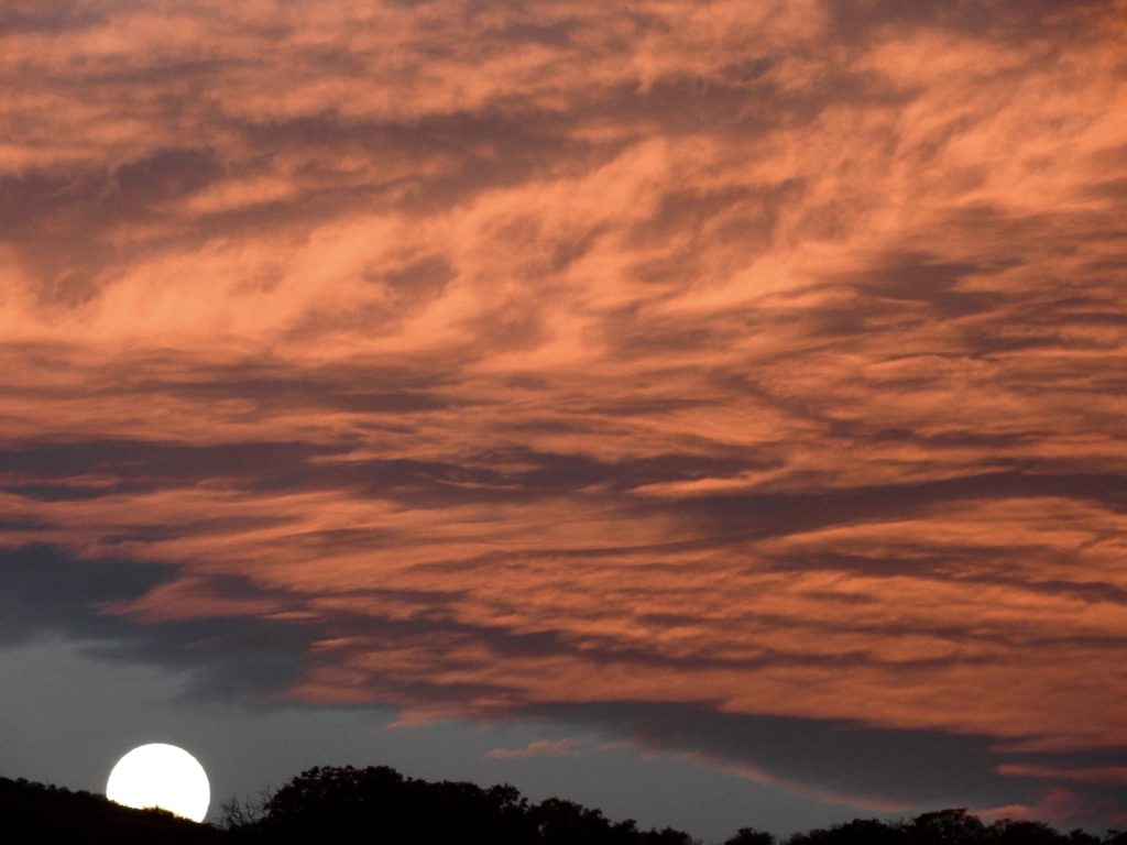 The morning moonset is washed in apricot clouds.  (Photo by Margaret Reckling)