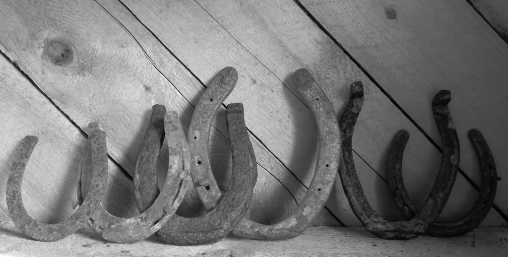 Old horseshoes in the barn  (Photo by Margaret Reckling)