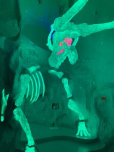 Meow Wolf beyond the fireplace