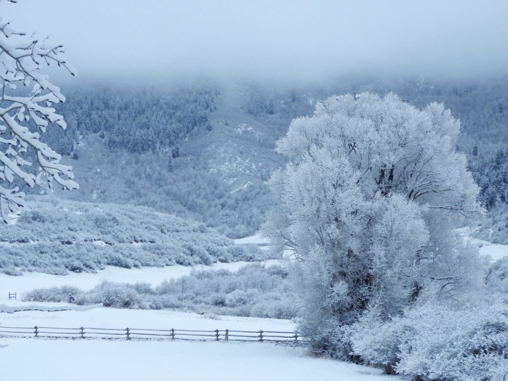 Winter Storm Clearing by Margaret Reckling (Photo by Margaret Reckling)