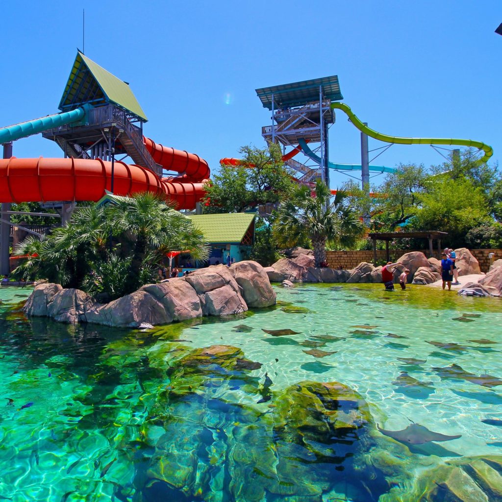 Stingrays make Aquatica San Antonio a standout. 