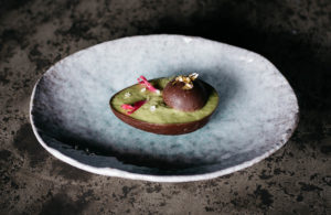 Indigo (Photo by Caroline Fontenot)