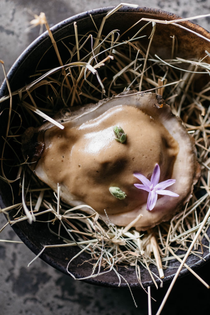 Indigo (Photo by Caroline Fontenot)