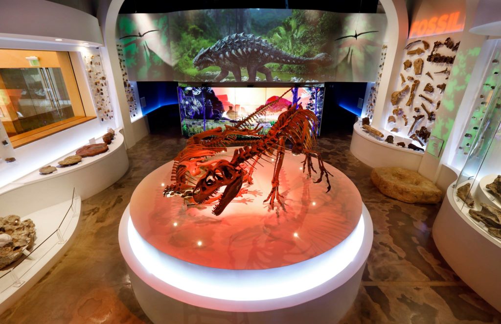 Fort Worth Museum of Science & History explores dinosaurs, space, and more. 