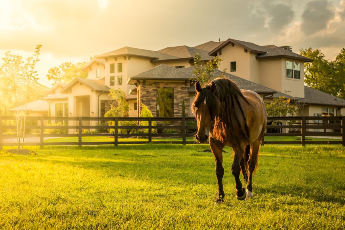 Inside the Houston Area Community Where Horses and Millionaires Roam