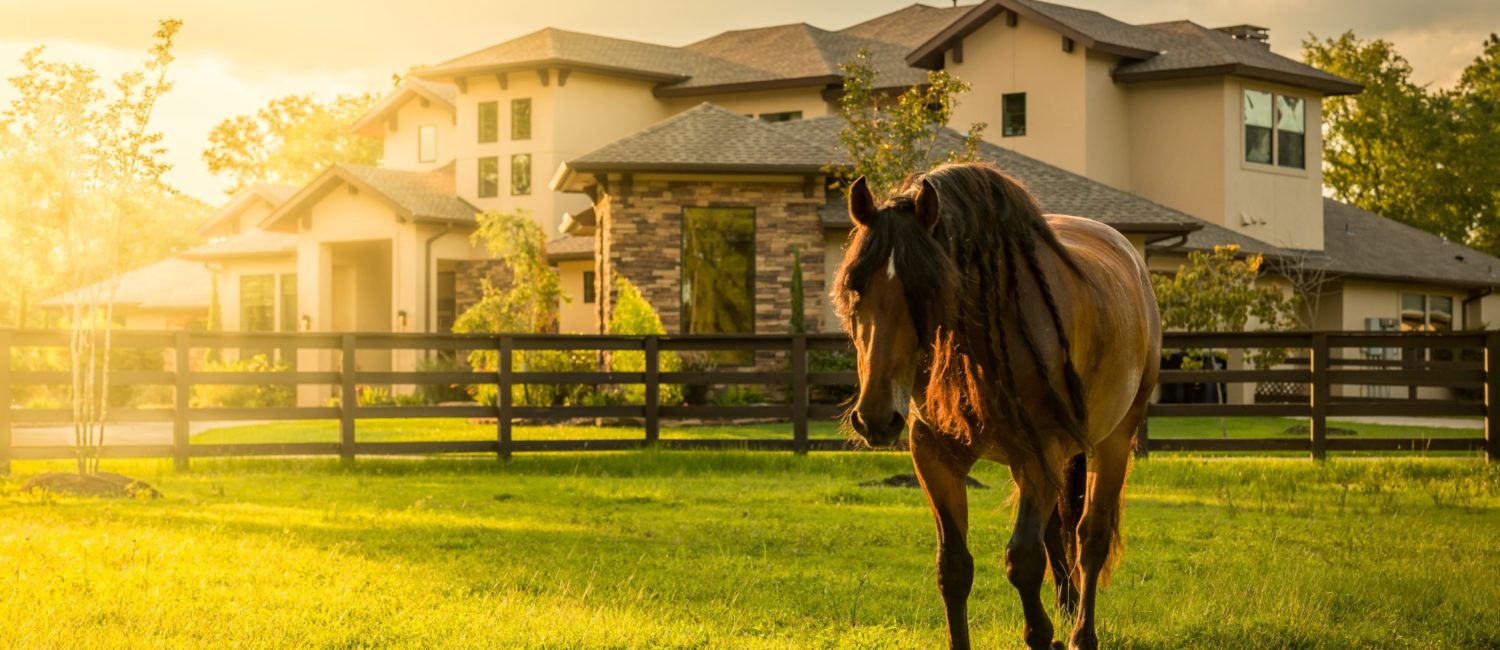 Willowcreek Ranch