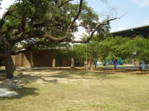 Second Ward Houston Neighborhood