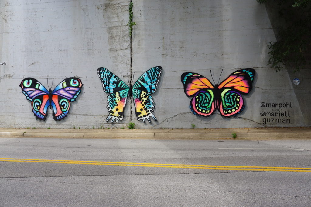 Butterflies on Bowen Street by Mariell Guzman and Mariel Pohlman. Photo by Megan Ziots