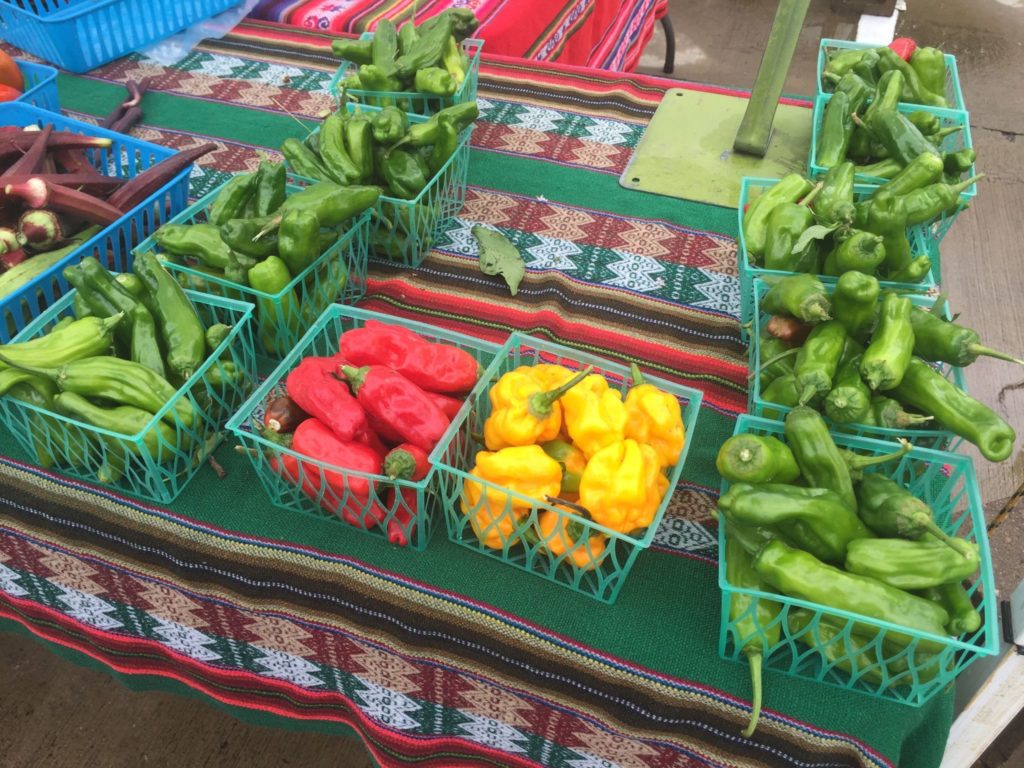 Urban Harvest is all about fresh food.