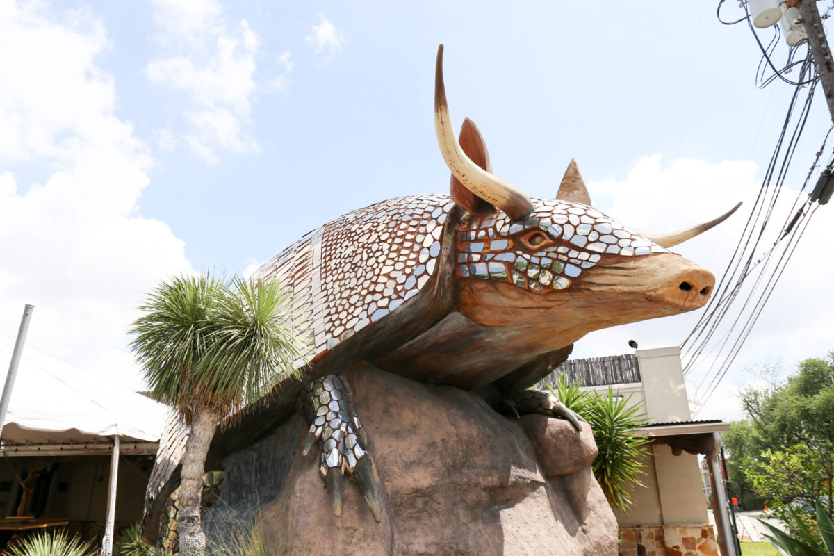 Goat Yoga at Armadillo Palace PaperCity Magazine