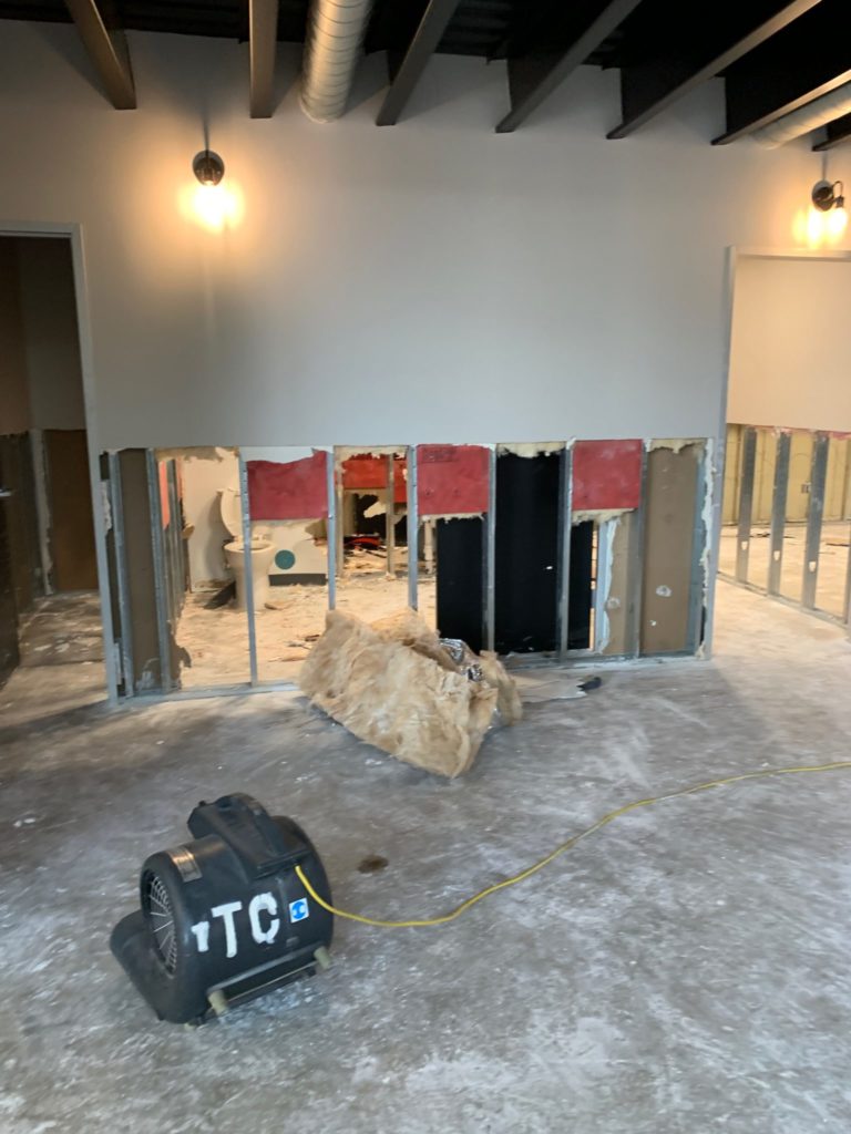 A team of friends rushed in to help the Craigs do damage control.