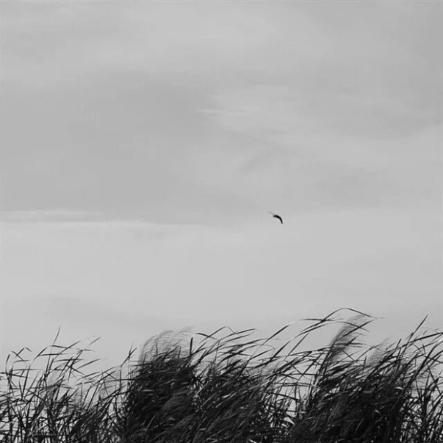 "Xia is a unique cultural characteristic of China, with this collection, we wish to seek the transformation of the Xia spirit in a quiet and spiritual state" — RIZHUO

