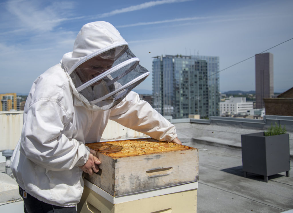 Hotel deLuxe even keeps bees. 