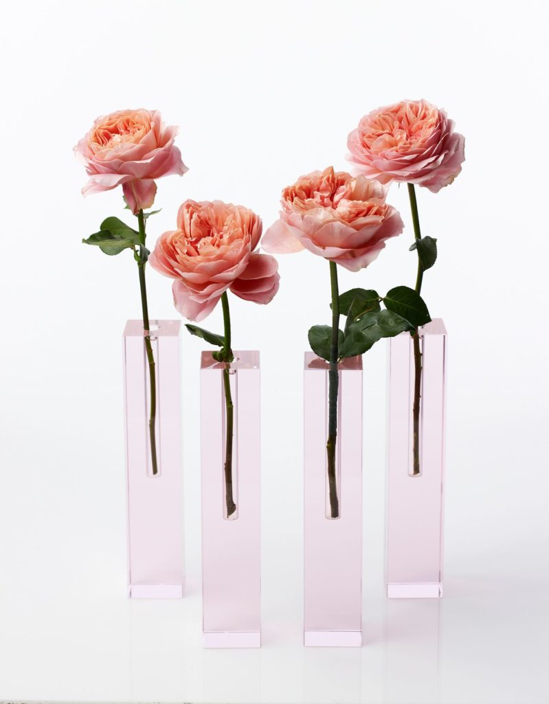 integrated ROD avant garden roses