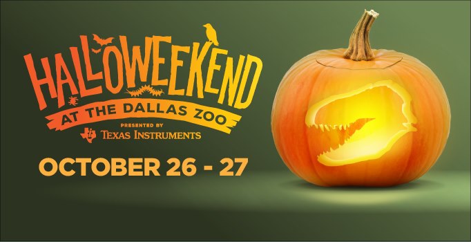 halloweekend zoo