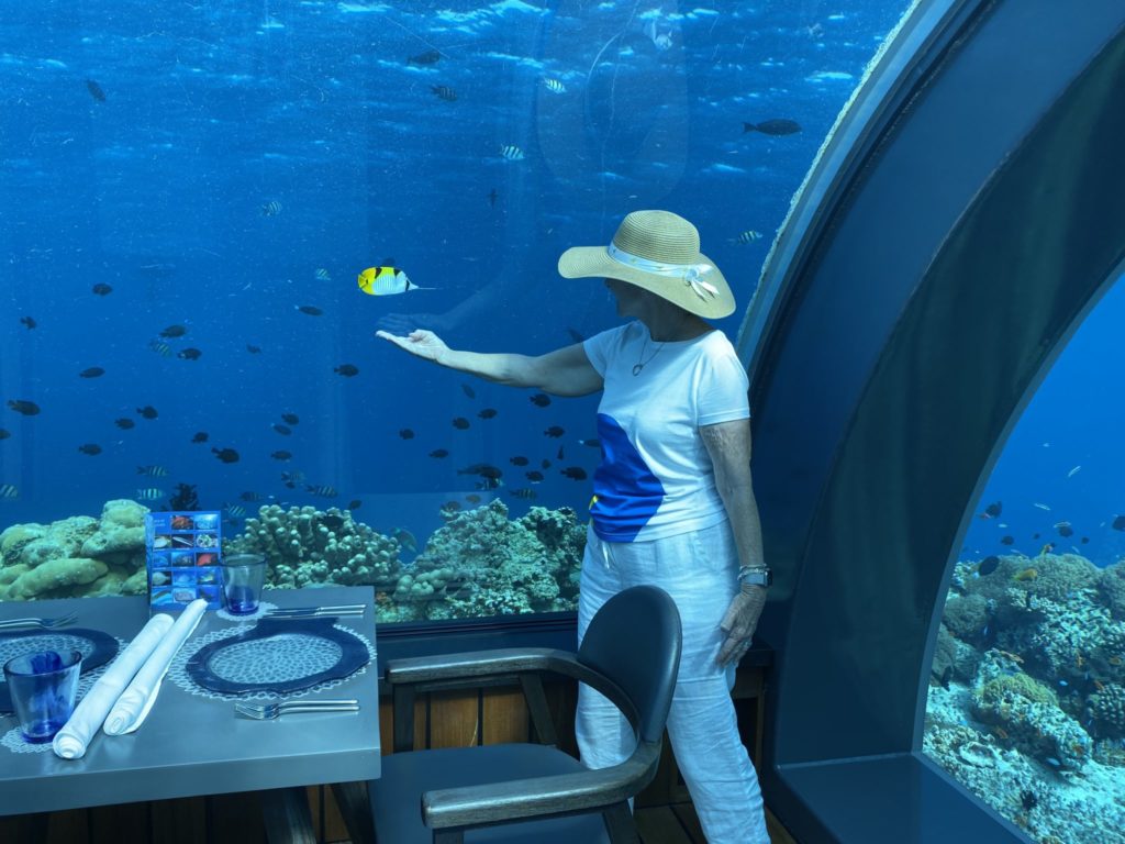 Fish come to watch the diners at the world's largest undersea restaurant