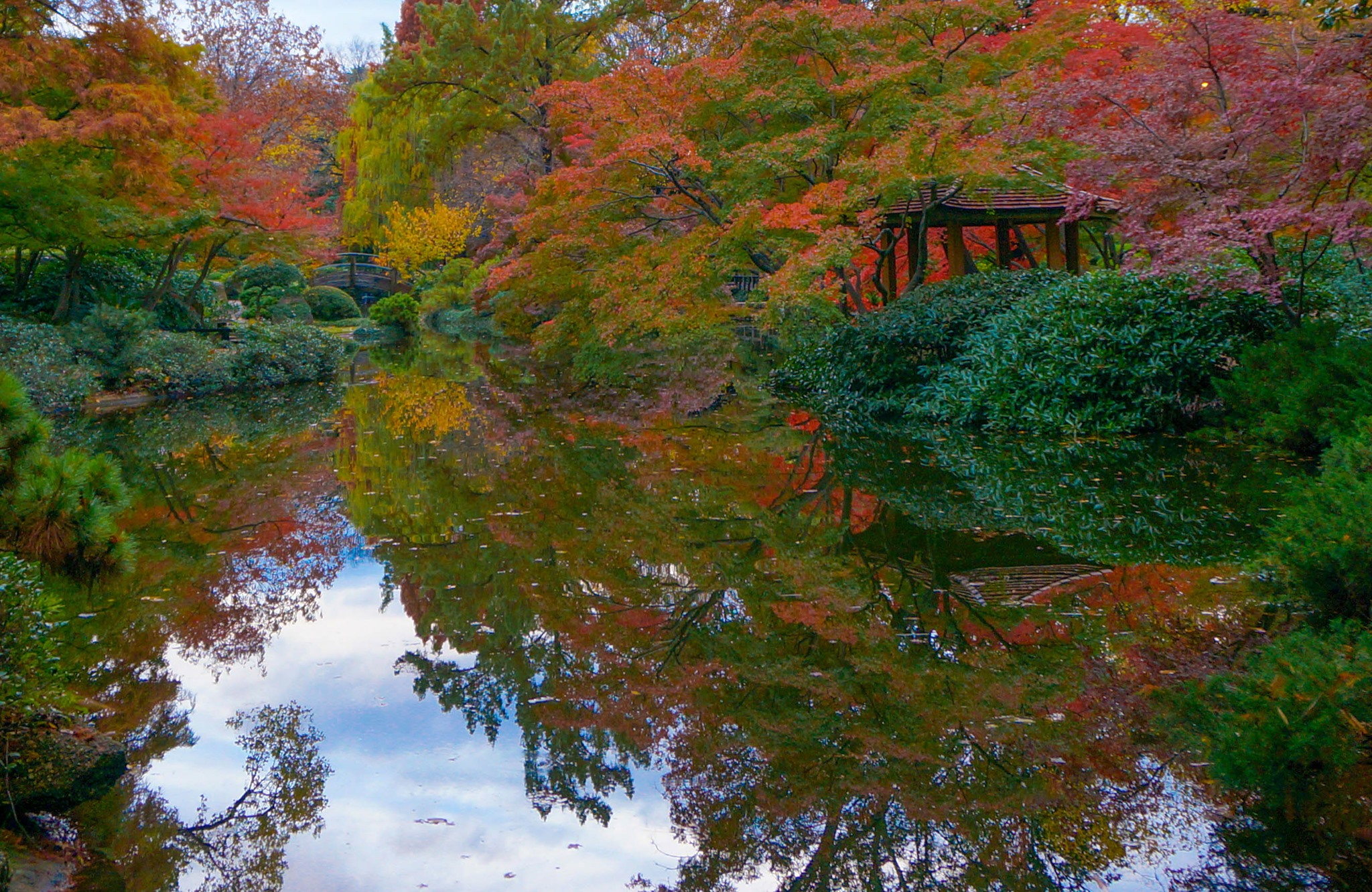 Japanese Fall Festival