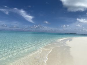 BDEB581A-07F4-42DB-A91F-0AC92CEB22FD