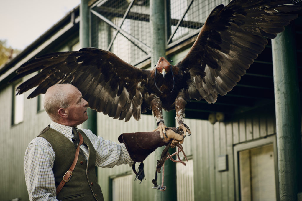 Gleneagles is a resort with its own falconry school.