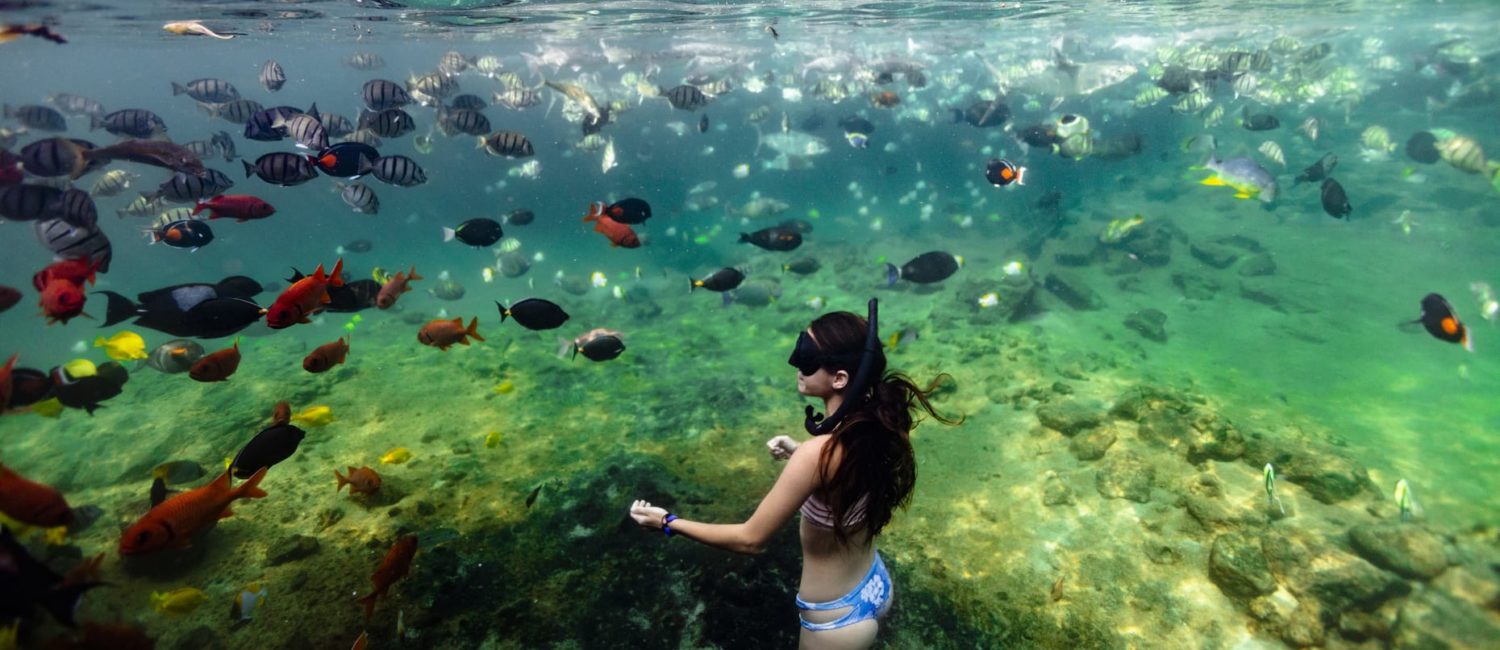 Four Seasons Haualalai Kings Pond Snorkling (Photo by Hualalai Resort)