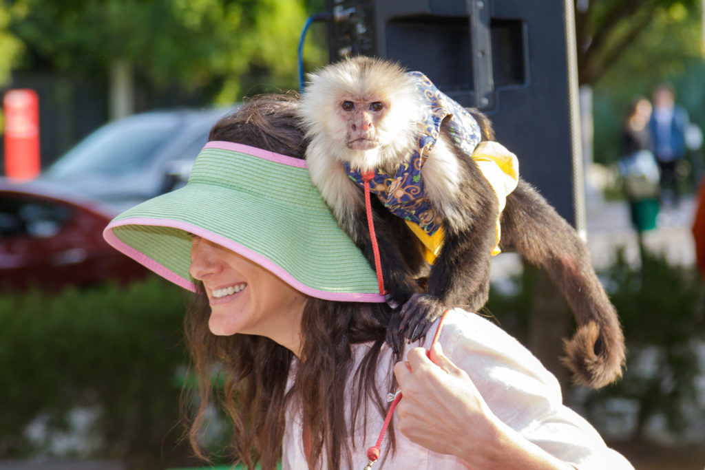 $1 for a monkey kiss – what a deal! (Photo by WJNPHOTO)