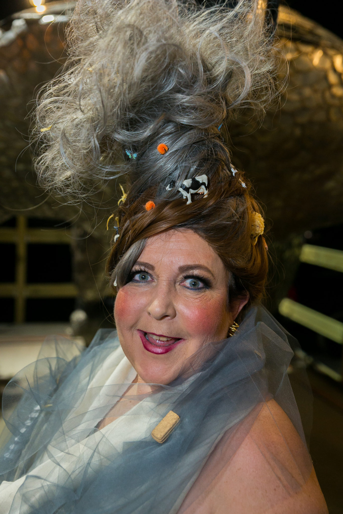 Co-chair Karen Lubetkin Desenberg (Photo by Emily Jaschke)