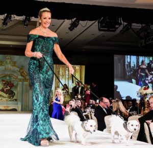 Katie Gibson with Daphne and Clementine photo by Daniel Ortiz (1)