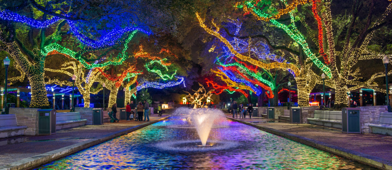 Houston Zoo Lights