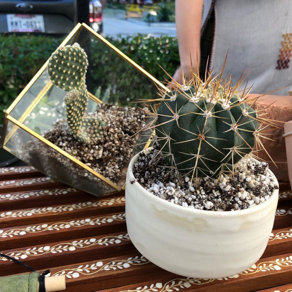 It's the perfect spot for picking up gifts. 