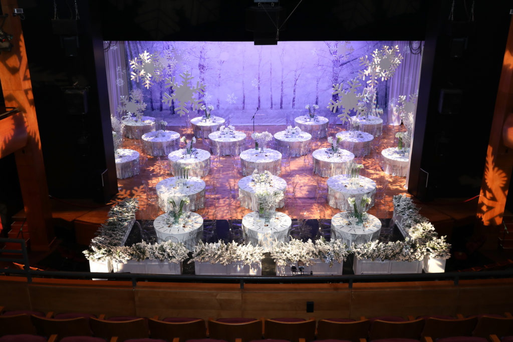Children's Memorial Hermann Behind the Curtain at Hobby Center for the Performing Arts (Photo by Priscilla Dickson)
