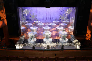 Children’s Memorial Hermann Behind the Curtain at Hobby Center for the Performing Arts (Photo by Priscilla Dickson)