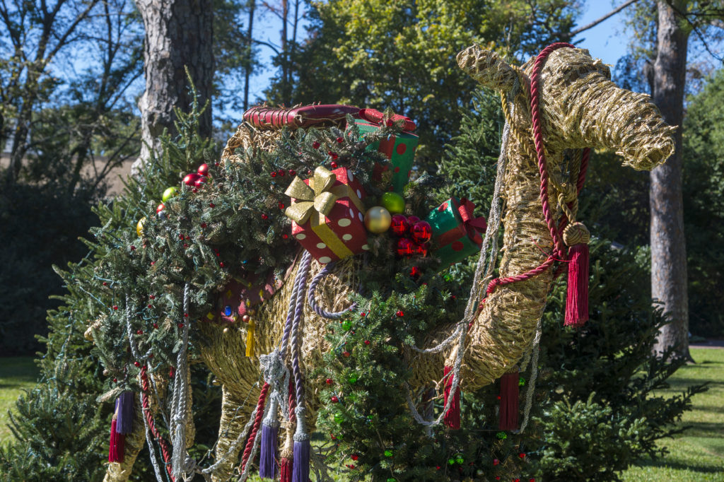 Th camels are dressed in full holiday gear. (Photo courtesy The Houstonian Hotel, Club & Spa)