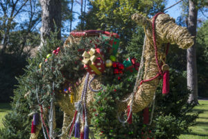 CamelsOnMeadow1 (Photo courtesy The Houstonian Hotel, Club & Spa)