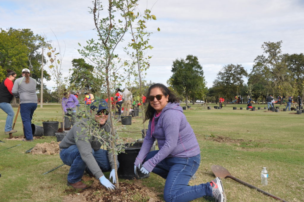 Trees for Houston volunteers planted 21,420 trees in the 2018-2019 planting season. (Photo by Trees for Houston)