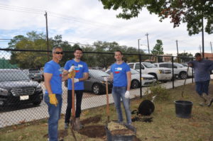 Trees for Houston (Photo by Trees for Houston)