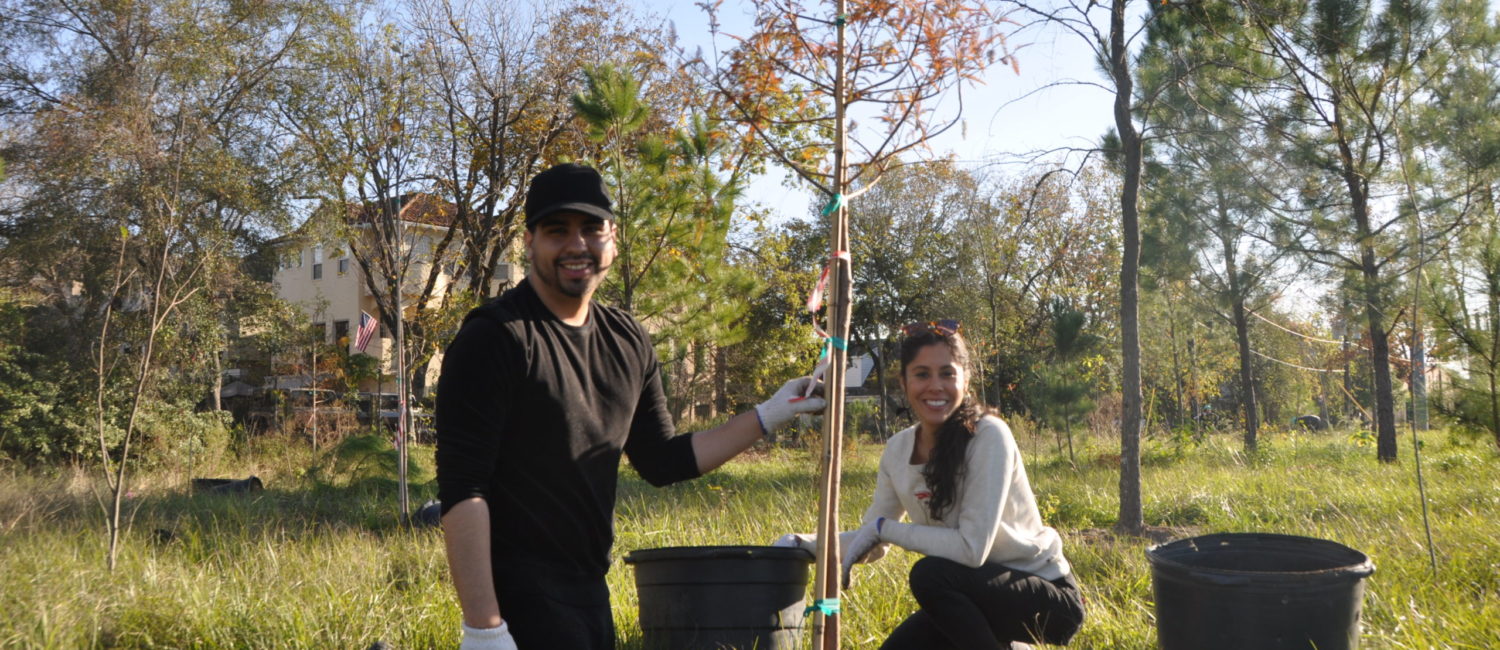 DSC_1008 (Photo by Trees for Houston)