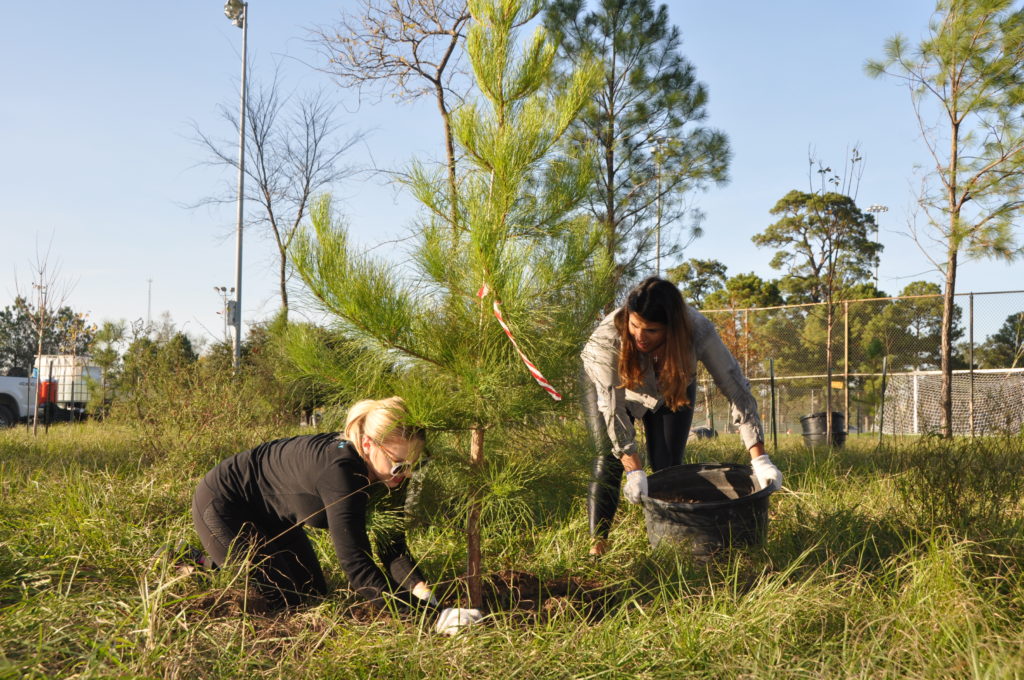 It's a job and volunteers gear up for it. (Photo by Trees for Houston)