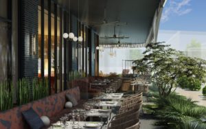 Virgin – patio