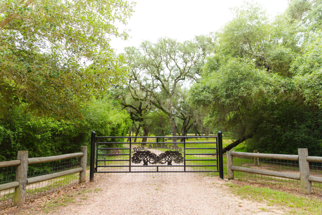 Closer to home, Dos Arbolitos in New Ulm, Texas, outside of Round Top, typifies the new interest in forest bathing and wellness. (Photo by Luca Lucattoni)