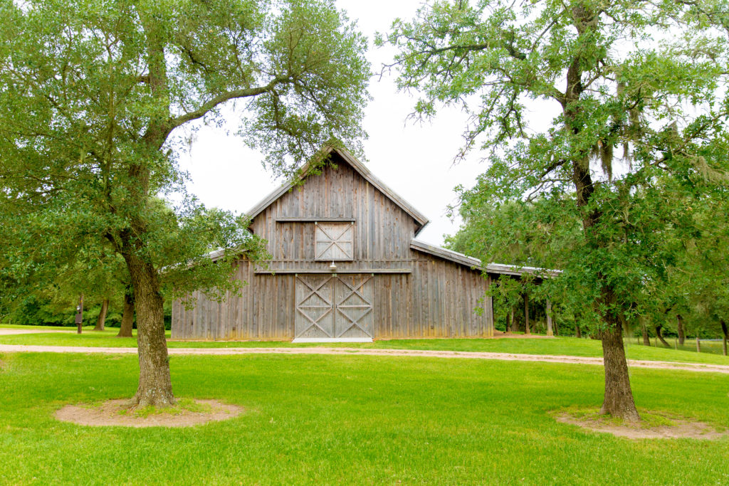 The bucolic Texas countryside is a destination for the New Wellness. Shown here: Dos Arbolitos in New Ulm, a newly opened event center immersed in nature. (Photo by Luca Lucattoni)