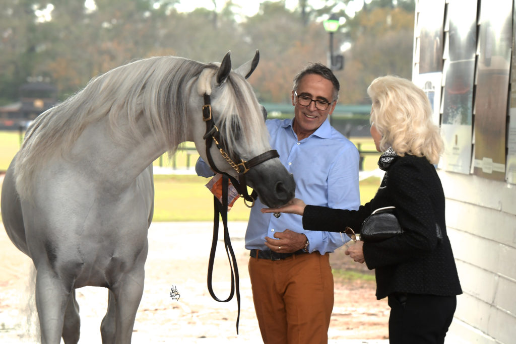 Lynn Wyatt feeds carrots to Platinum World Champion Hariry Al Shaqab with Michael Byatt at Houston Polo Club. (Photo by Stuart Vesty)