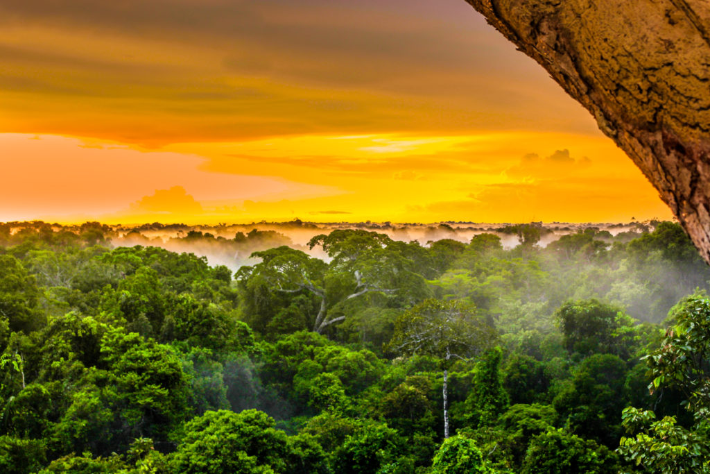 Brazil's Amazon Rainforest (Photo by streetflash, Shutterstock)