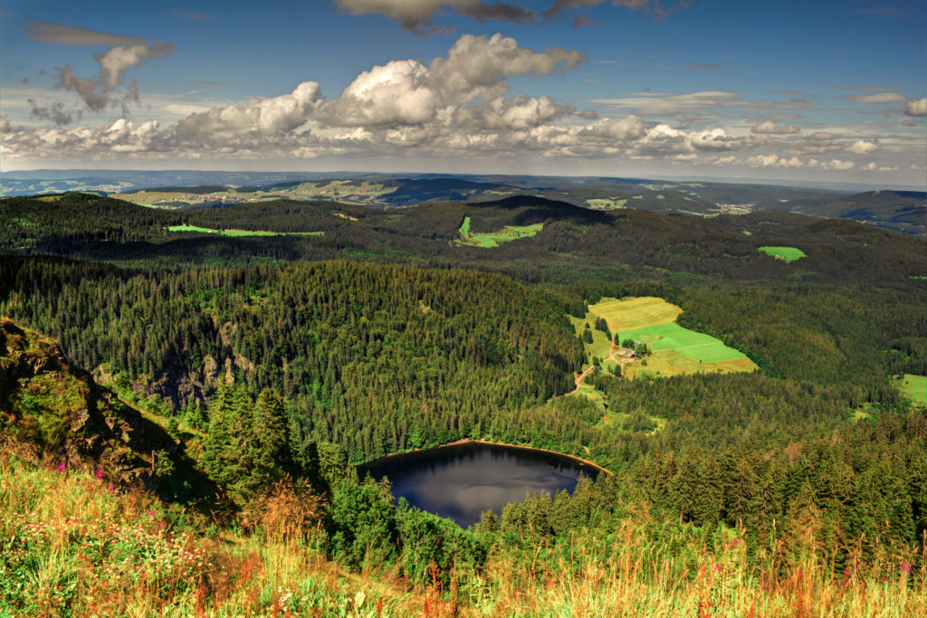 Germany's Black Forest (Photo by Willequet Manuel, Shutterstock)